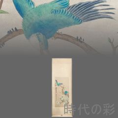 中国古美術.現時代.田世光款.花鳥図.宣紙画.三尺手描き.肉筆.掛け軸