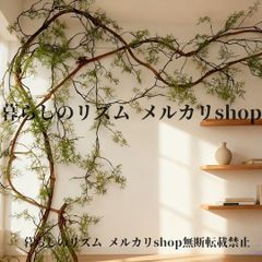 『創』フィカス•リン♪ 140cm 太幹•曲がりフォルム♪ 創』フィカス•リン♪ 143cm 太幹•曲がりフォルム♪ - メルカリ