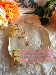 ◆韓国人気SNS◆A6アクリルバインダーset貯金saving家計管理クリア新品バインダー貯金A6アクリルバインダー水流　saving　家計管理　貯金リフィル　貯金バインダー　 推し活　ラインストーンローズチャームset　カラフル　可愛い　全4種類　お気に入り