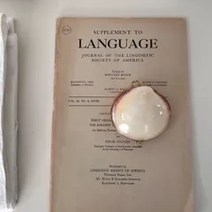 ヨーロッパヴィンテージ 天然貝殻のシェルケース