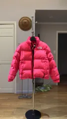 US S THE NORTH FACE 1996 レトロ Nuptse
