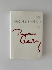 新ペルー死限定モデル