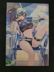 ツバメ イターナリーターン x ニベル アリーナ 特典 はがき