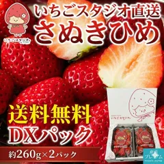 ◉産地直送◉◉応援◉「さぬきひめ」20代の女性が中心のいちごスタジオ🍓 かわいいおむすび型のいちご 知る人ぞ知るさぬきひめ DXパック 約260g×2パック