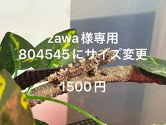 yuma爬虫類ケージ作成工房 - メルカリShops