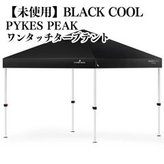 Item thumbnail for item 9c39594e-c505-4e73-94e2-ea7372d746f4