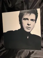 2026年最新】peter gabrielの人気アイテム - メルカリ