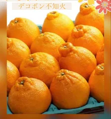 ☆限定破格☆熊本産☆デコポン不知火８～１０玉入箱☆ミカン蜜柑☆シラヌイ