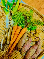 ぷりん農園　野菜セット　ネコポス発送