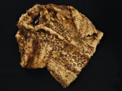 JILLSTUART ジルスチュアート ラビットファー レオパード ジャケット sizeM/ベージュ ◇■ レディース