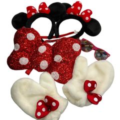 186001 現状品 Disney ディズニー 東京ディズニーリゾート　ミニーちゃん　ショルダーバッグ　カチューシャ　ミトン　サングラス 5点まとめ売り