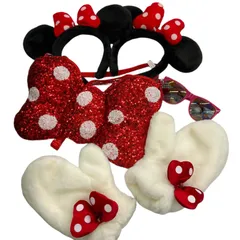 186001 現状品 Disney ディズニー 東京ディズニーリゾート　ミニーちゃん　ショルダーバッグ　カチューシャ　ミトン　サングラス 5点まとめ売り