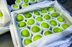 チリ産大粒4Jチェリー 2.5kg 空輸＊新品 - メルカリ