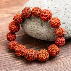 ルドラクシャのブレスレット 聖なる菩提樹の実 / 数珠 菩提樹 マーラー ブレスレット ビーズ アクセサリー 