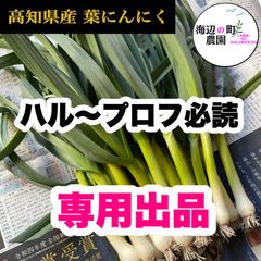 高知県産【高級食材♪葉ニンニク】1kg 産地直送！野菜 - メルカリ