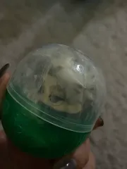 呪術廻戦 0 狗巻 棘 おねむたん