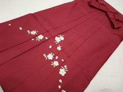 Item thumbnail for item 82058cfa-6943-4744-b847-98d260bed53d