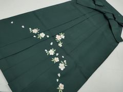 Item thumbnail for item 7352979f-3db4-486d-ac7d-4783ea77b562