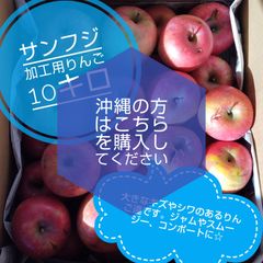 追加分】りんごチップス 2袋 新品 - メルカリ
