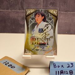 Item thumbnail for item 8fd99518-1bec-49de-aab7-a4fb58674321