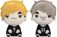 ハイキュー もちぴこぬいぐるみ9 宮侑・宮治 全2種セット