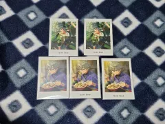 あんさんぶるスターズ！！(あんスタ) ぱしゃっつ 6弾 瀬名 泉 まとめ アクション private