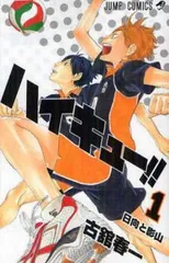 ハイキュー!! 全 45 巻 完結 セット レンタル用【全巻セット コミック・本 中古 Comic】レンタル落ち