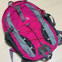 THE NORTH FACE ザノースフェイス ピング バックパック 14L