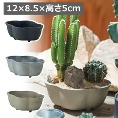 ブルータポット 植木鉢 鉢  15×10.5×高さ6cm プランター フラワーポット ガーデニング 無骨 インダストリアル ガーデニング 園芸 おしゃれ ブラック シルバー ゴールド ゴールドのサムネイル