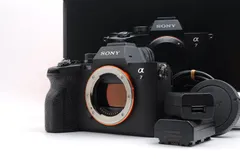 2026年最新】sonyα7ivの人気アイテム - メルカリ