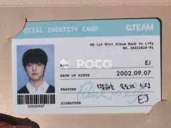 &TEAM ウィジュ Back to Life POP-UP 購入特典