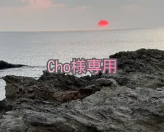 専用です。Cho様