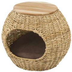 Item thumbnail for item ff3c88aa-24a0-4de4-8944-20e82f021bc4