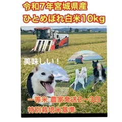 令和7年宮城県登米市産ひとめぼれ白米10kg shop開設特別価格 農家直送 色彩選別完備 特別栽培米基準のサムネイル