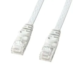 サンワサプライ LANケーブル パソコン、LANハブ対応 CAT6 フラットタイプ 1Gbps/250MHz ギガビット イーサネットケーブル RJ45コネクタ ツメ折れ防止 (10m) ホワイト LA-FL6-10W
