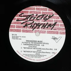 米 US盤 ENDANGERED SPECIES/ENDANGERED MUSIC/STRICTLY RHYTHM SR1276 12