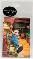 東京ディズニーリゾート ミッキー&フレンズ写真10枚