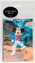 東京ディズニーリゾート 写真 6枚 ミッキーマウス(実写) 2022