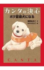 薬剤性肺障害の診断・治療の手引き 2018 Amazon.co.jp: 薬剤性肺障害の診断・治療の手引き (2018) : 日本呼吸器