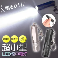 キーホルダー 懐中電灯 小型 ハンディライト コンパクト LEDライト 電池式 ストラップ 持ち運び 小さい ミニ 強力 高輝度 明るい 防災ライト 防災グッズ キャンプ 作業 登山 アウトドア 軽量 ミニサイズ ペンライト 作業灯 スティック 災害 非常灯