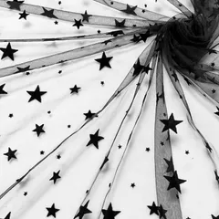 moonfarm 星柄 チュール 生地 幅160cm 1way ストレッチ 白 黒 レース 透ける 布 薄手 (ブラック,  3m)