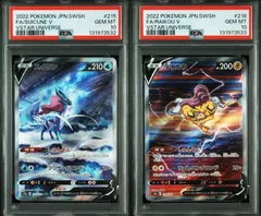 PSA10 スイクンV＆ライコウV 215/172 218/172 S12a 連番セット VSTARユニバース ポケモンカード ポケカ Pokemon Card
