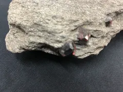 アラスカガーネット母岩付き/USA