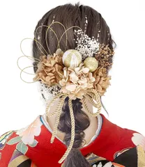 [JZOON] 成人式 髪飾り【11色展開】 ドライフラワー かすみ草 振袖 着物 卒業式 七五三 浴衣 袴 結婚式用 造花飾り ヘアアクセサリー 和玉 赤 ゴールド 水引 ヘッドパーツ 手作り 専用ケース付き A5001