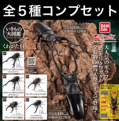 ガシャポン　いきもの大図鑑 くわがた11全種コンプリートセット（全5種）