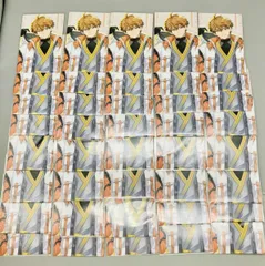 にじさんじ　3SKM 北見遊征　ハーフアニバーサリー　ランダムフォト風カード　40個セット