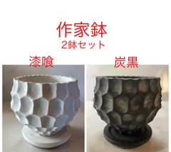 2026年最新】陶器鉢 アガベの人気アイテム - メルカリ