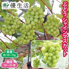 2026年最新】シャインマスカットの人気アイテム - メルカリ