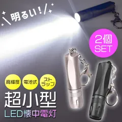 2個セット キーホルダー 懐中電灯 小型 ハンディライト コンパクト LEDライト 電池式 ストラップ 持ち運び 小さい ミニ 強力 高輝度 明るい 防災ライト 防災グッズ キャンプ 作業 登山 アウトドア 軽量 ミニサイズ ペンライト 作業灯 災害 非常灯