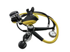 Item thumbnail for item 3a177043-f3b5-4fd6-890a-9b1bce75c74b